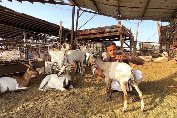 Duta Besar RI untuk Arab Saudi Apresiasi Pengelolaan Daging Dam Haji 2024