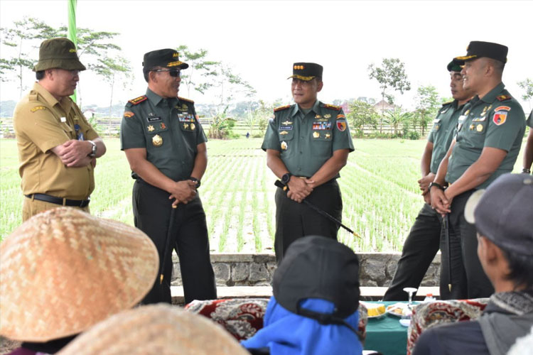 Danpusterad Kunjungi Program Ketahanan Pangan dan Panen Jagung Binaan Dandim 0818