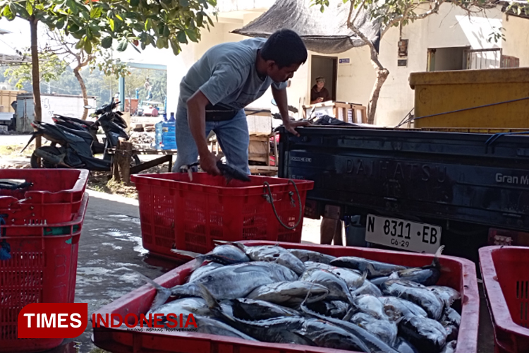 Ikan.jpg