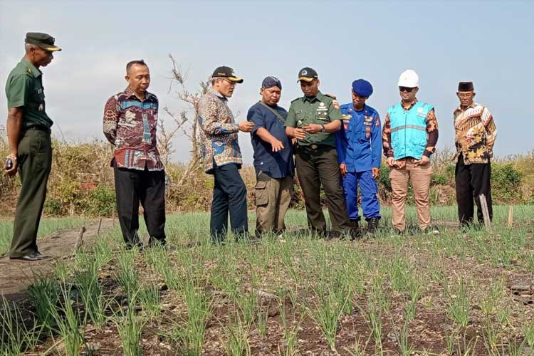 Bupati Bantul bersama Dandim meninjau tanaman bawang merah di lahan pasir Parangtritis Kretek Bantul. (Foto: Edis/TIMES Indonesia)