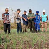 Bupati Bantul Blusukan di Lahan Pasir, Pastikan Kebutuhan Pertanian Teratasi