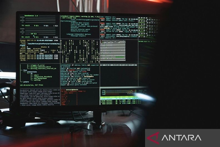 Ilustrasi - Ransomware pada sistem IT. (Foto: ANTARA/Pexels/Tima Miroshnichenko/am)
