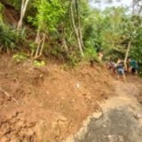 60 Titik Bencana Alam, Lahan Pertanian di Tasikmalaya Terancam Gagal Panen