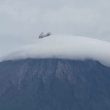 Gunung Semeru Lumajang Erupsi, Abu Vulkanik Mencapai 700 Meter
