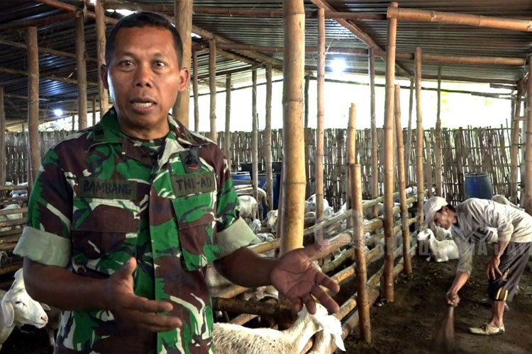 Ubah Nasib Petani Singkong, Prajurit TNI Rela Rugi Puluhan Juta Sebulan