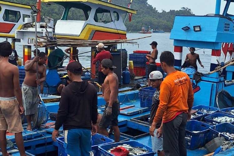 Nelayan Perairan Malang Selatan Resah Perahu Besar Masuk Kawasan Mereka  
