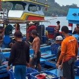 Nelayan Perairan Malang Selatan Resah Perahu Besar Masuk Kawasan Mereka  