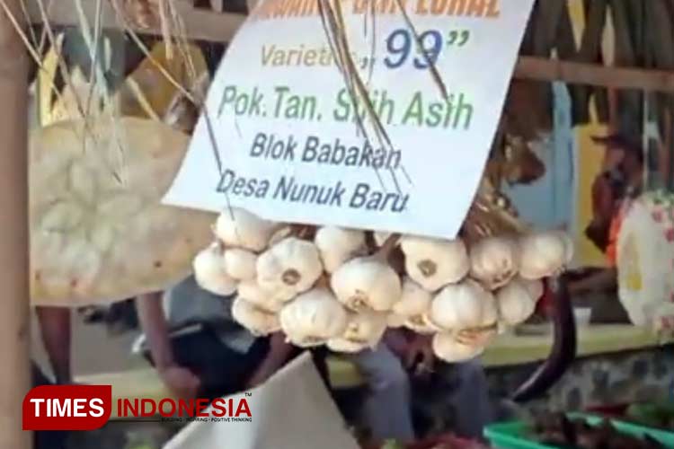 Pisang Apuy dan Bawang Putih Nunuk Resmi Jadi Varietas Lokal Majalengka