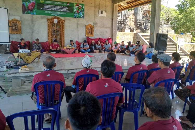 Para petani di Desa Ban nampak antusias dalam mengembangkan budidaya rosella. (Foto: Humas Unwar)