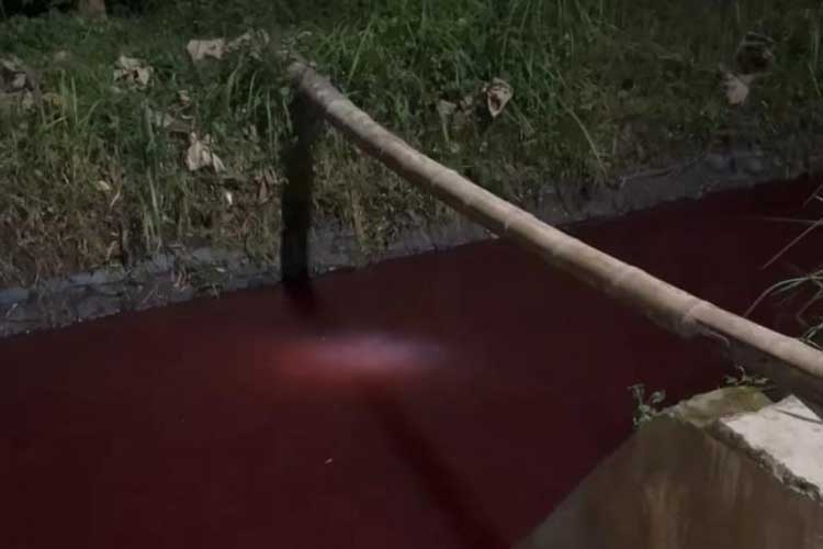 Air sungai di sumber mata air kawasan Tumpang, Kabupaten Malang saat berwarna merah. (Foto: Tangkapan Layar)