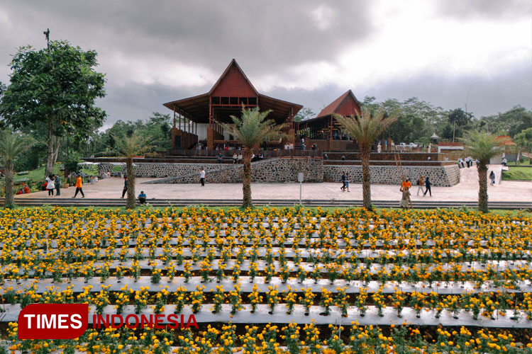 Hore! Sepekan di Agrowisata Tamansuruh Banyuwangi Diperpanjang