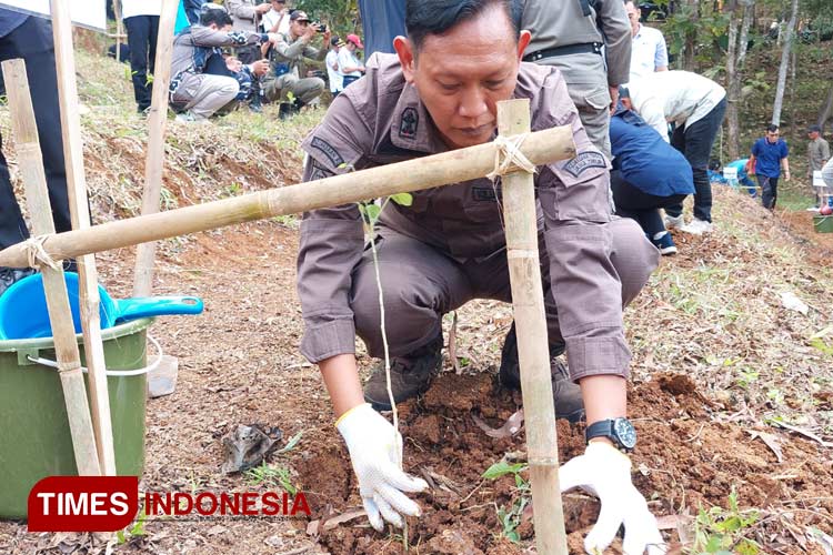Peringati Hari Bhakti Adhyaksa ke-64, Kejari Pacitan Tanam Pohon Trembesi Serentak