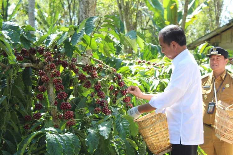 Presiden Jokowi: Semua Komoditas Harus Masuk Industrialisasi dan Hilirisasi