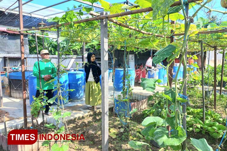 Urban Farming di Api-Api Berkembang Baik, Kecamatan Bontang Utara Lakukan Pengembangan Program