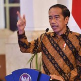 Jokowi Berikan HGU IKN, SETARA: Berpotensi Langgar HAM