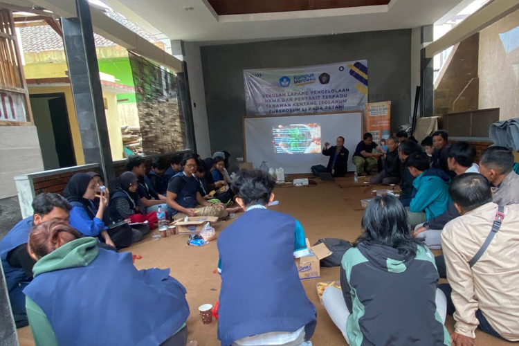 Kegiatan SL-PHT tanaman kentang di Kota Batu. (Foto: Dok. FPUB).