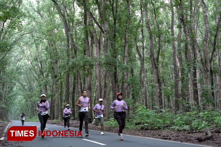 Alas-Purwo-Jungle-Run-2024-a.jpg
