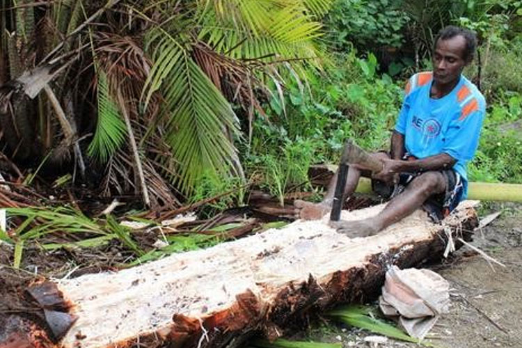 Potensi sagu di Indonesia. (Foto: pantaugambut.id)