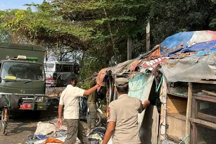Satpol PP Pemalang membongkar bangunan liar di Sekitar Terminal Bus.