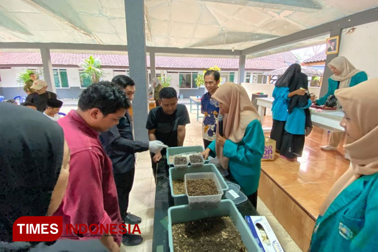 budidaya-maggot.jpg