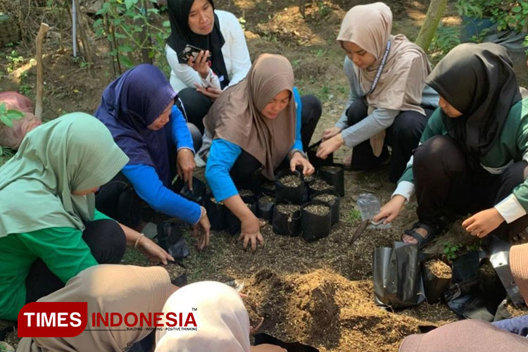 Pembuatan-media-tanam.jpg