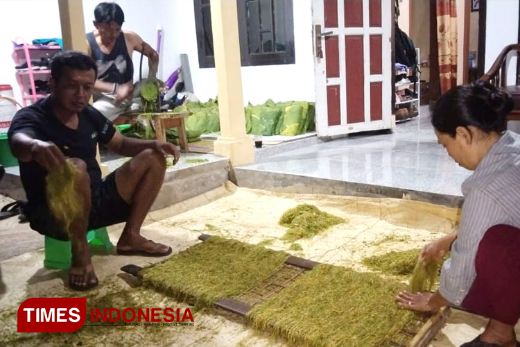 Petani tembakau di Kabupaten Majalengka. (FOTO: Hendri Firmansyah/TIMES Indonesia)