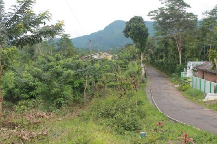 Arca Bukit Cikendung, Jejak Peradaban Pemalang yang Belum Terungkap
