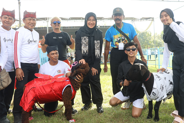 Ratusan Kambing Tampil Mejeng, Perebutkan Piala Bupati Banyuwangi