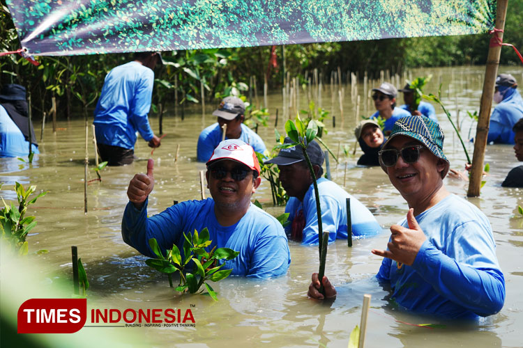 Cegah Abrasi Laut Jawa, Seribu Bibit Mangrove Ditanam di Pesisir Gresik