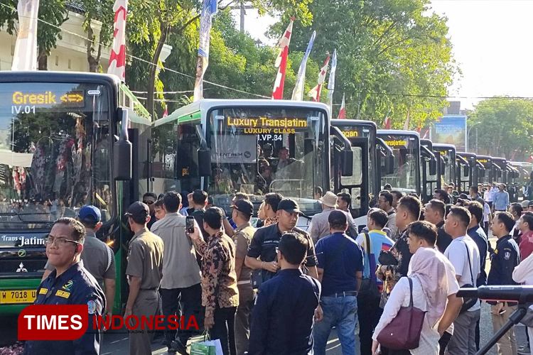 Bus-Trans-Jatim.jpg