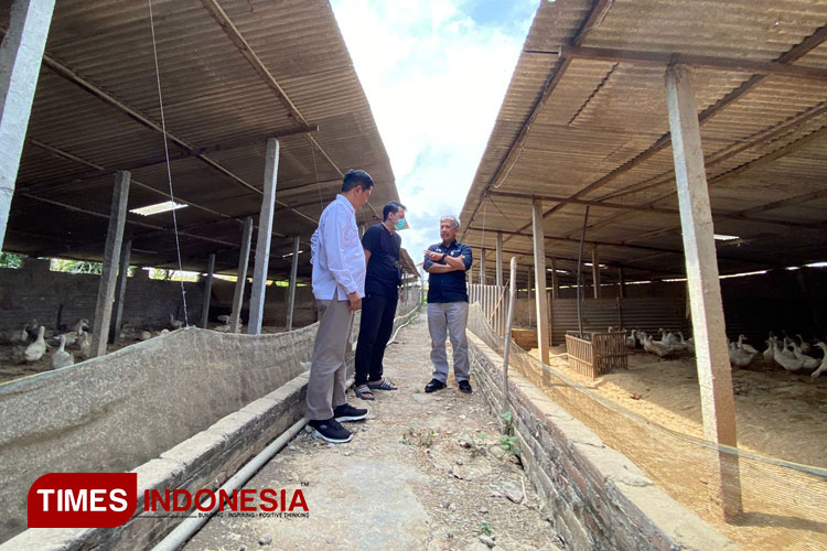 Kunjungan Direktur Polbangtan Malang bersama Project Manajer YESS PPIU Jatim di farm Bebek, salah satu penerima manfaat Program YESS Kabupaten Tulungagung, Rabu (7/8/2024). (Foto: Bangsal for TIMES Indonesia)