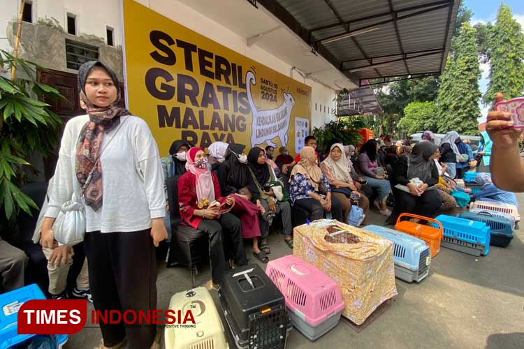 Suasana pelaksanaan sterilisasi kucing gratis oleh Polresta Malang Kota. (Foto: Rizky Kurniawan Pratama/TIMES Indonesia)