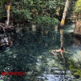 The Sumber Umbulan Spring in Karangploso, Malang: A Natural Gem