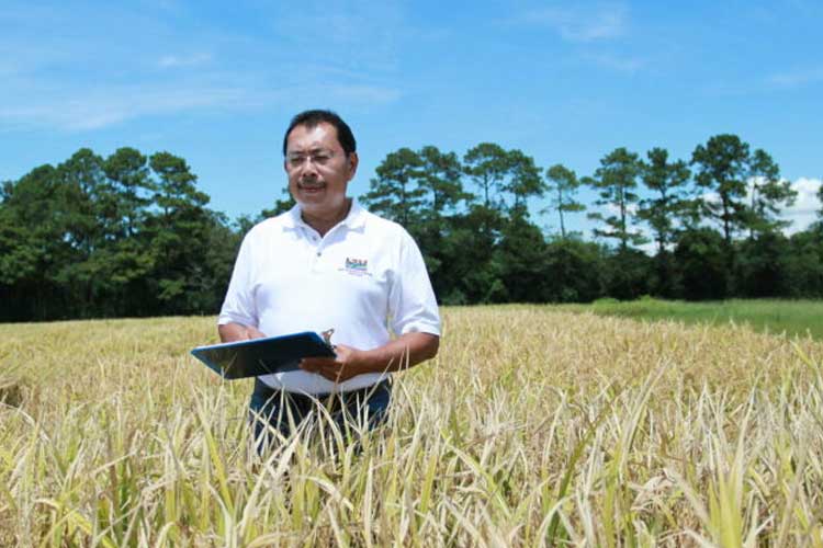 Prof Herry Utomo, Penemu Varietas Padi Tinggi Protein Pertama di Dunia: Dari Kota Malang ke Louisiana