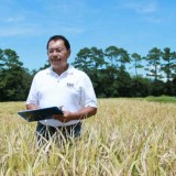 Prof Herry Utomo, Penemu Varietas Padi Tinggi Protein Pertama di Dunia: Dari Kota Malang ke Louisiana