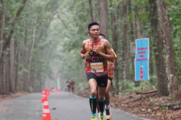Jungle-Run-2.jpg
