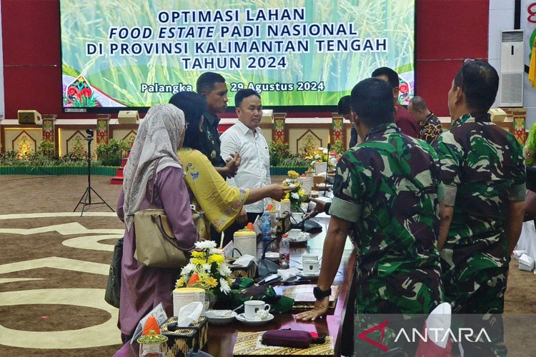 Kalteng Siapkan 1 Juta Hektar untuk Ketahanan Pangan Nasional dengan Pengembangan Lahan Food Estate