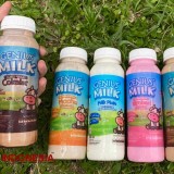 Susu Sapi Murni dari Banyuwangi,  Genius Milk Hadirkan Kualitas Terbaik dan Varian Rasa Unik