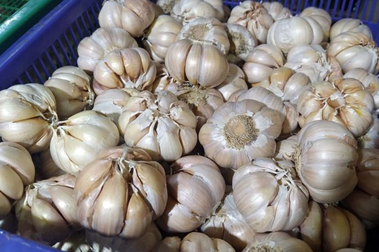 Update Harga Pangan Selasa: Bawang Putih Naik Tipis Jadi Rp 40.310 per Kilogram