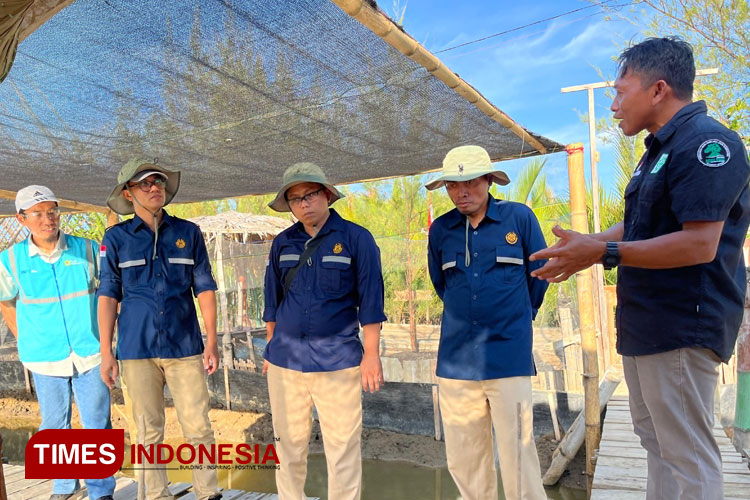 Lahan Bekas Abrasi Pantai di Bawean Gresik Disulap Jadi Tambak Budidaya Terintegrasi