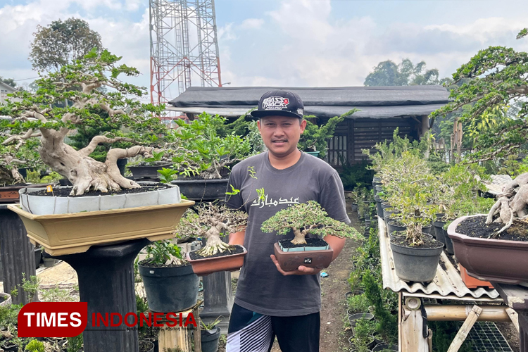 Menikmati Potongan Alam Liar Lewat Seni Bonsai di Laboratorium Sakabonsai Pujon Kidul