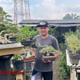 Menikmati Potongan Alam Liar Lewat Seni Bonsai di Laboratorium Sakabonsai Pujon Kidul