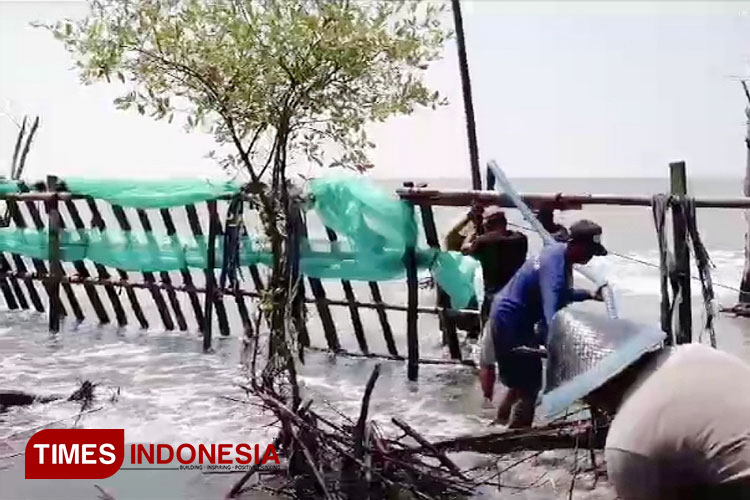 warga-untuk-menahan-air-rob-dari-laut-3.jpg