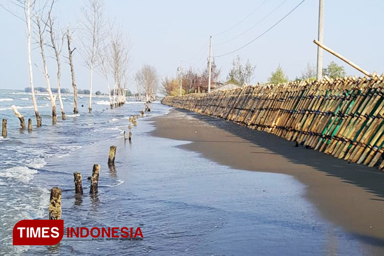 Air Rob Merusak Perekonomian Warga Desa Blendung Ulujami Pemalang