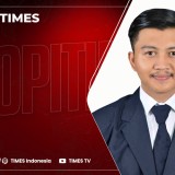 Pilkada, Harapan Kembalinya Marwah Demokrasi