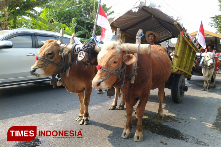 Parade-Cikar-Kabupaten-Kediri-2024-v2.jpg