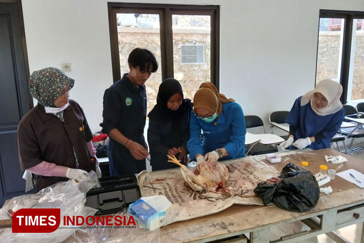 Pengambilan-jaringan-limpa.jpg