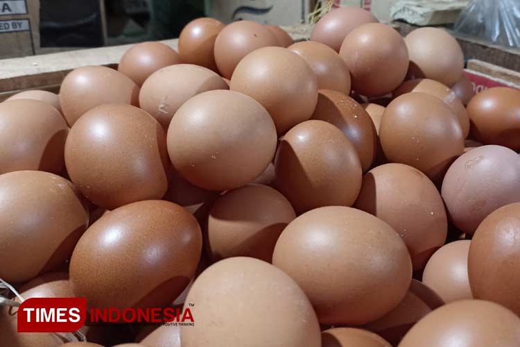 Memasuki Bulan Maulid, Harga Telur di Banyuwangi Melambung