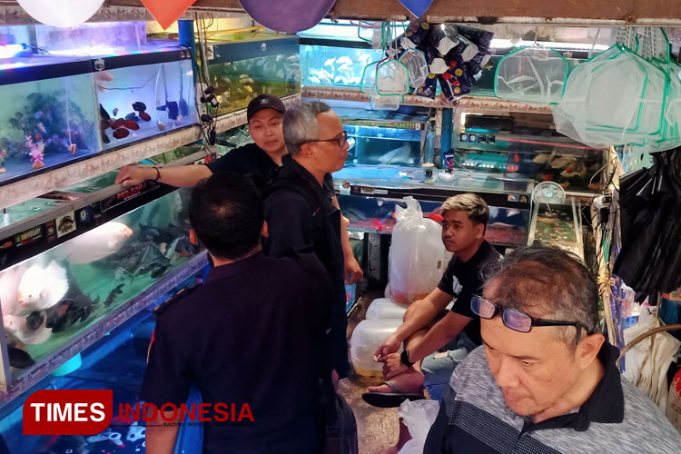 Gegara Kasus Kakek Dipenjara Pelihara Aligator Gar, Pasar Splendid Malang Disidak