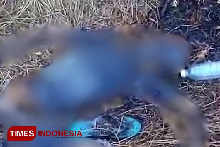 Hilang Lebih dari 10 Hari, Pria 84 Tahun di Banyuwangi Ditemukan Tinggal Kerangka